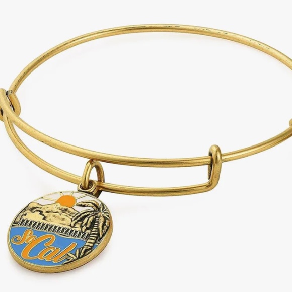 Alex and Ani SoCal Charm Bangle - Picture 1 of 2